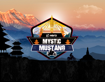 mystic-mustang