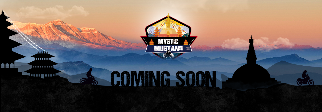 mystic-mustang